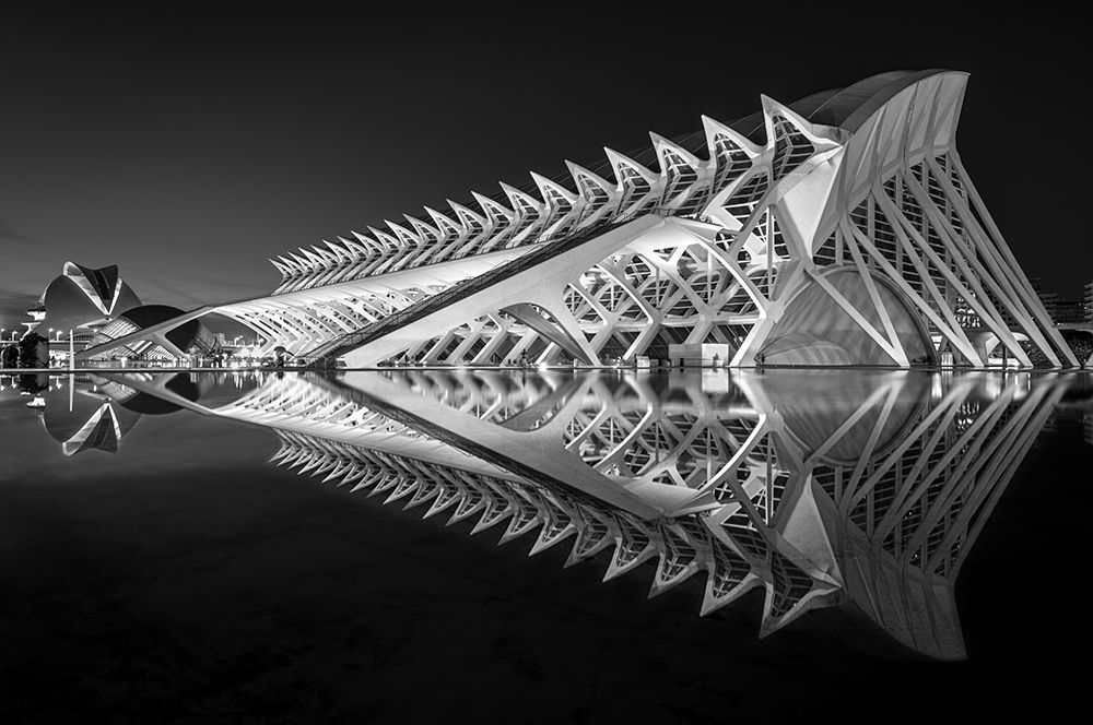 Art Print: Exoskeleton