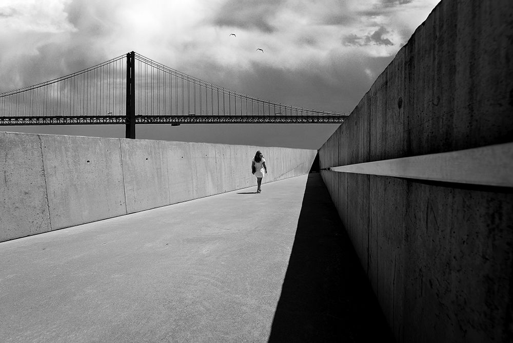 Art Print: The Search