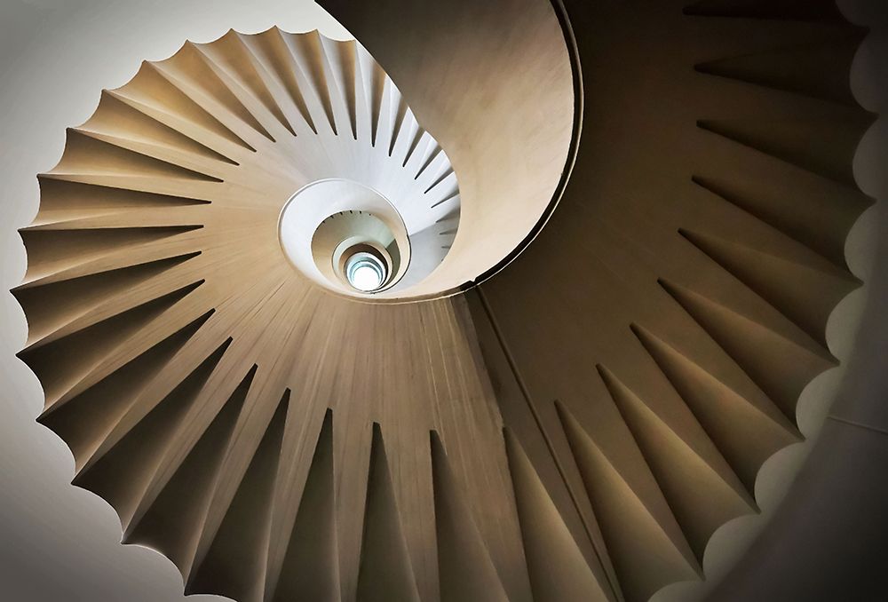 Art Print: Looking Up