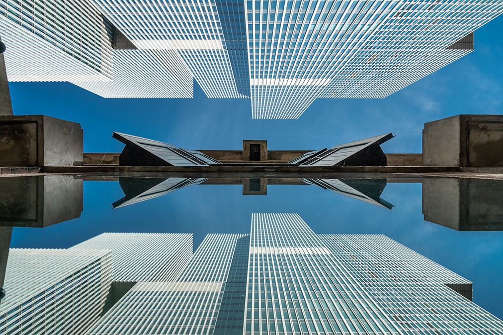 Art Print: The Rotterdam