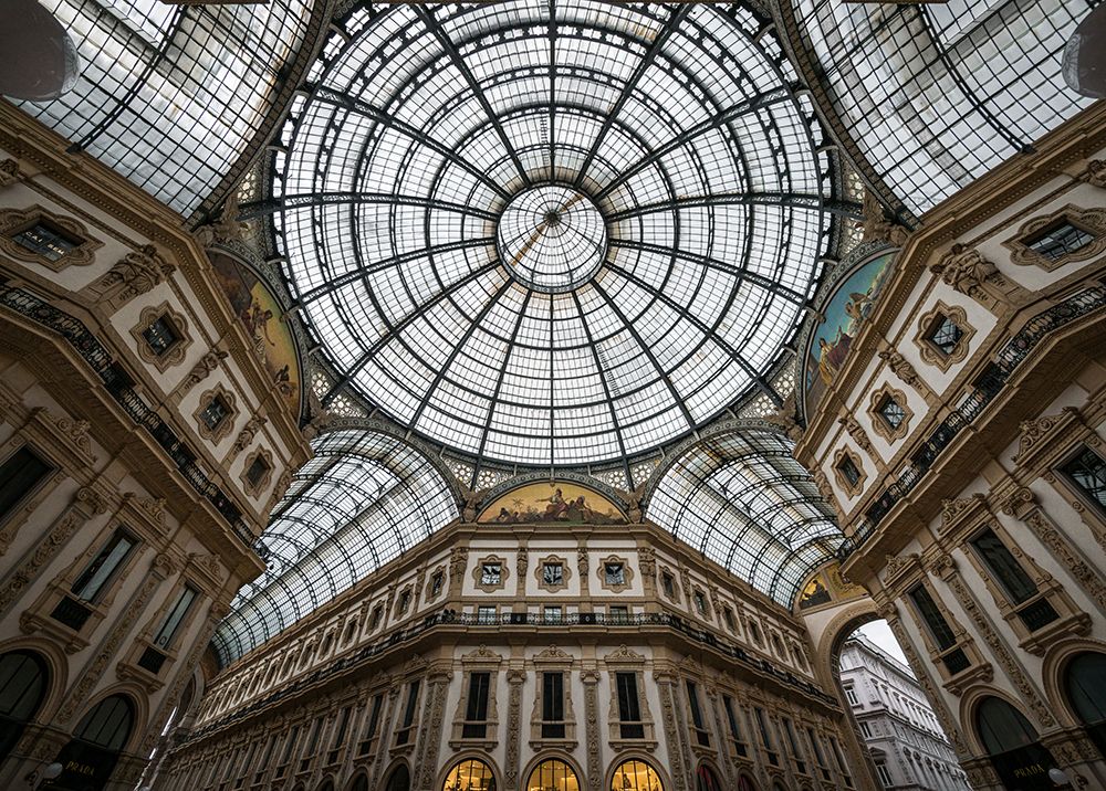 Art Print: Close Encounters