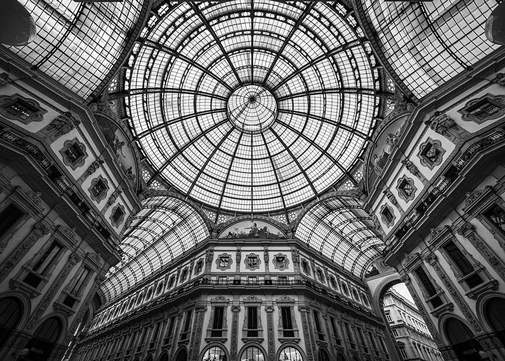 Art Print: Close Encounters