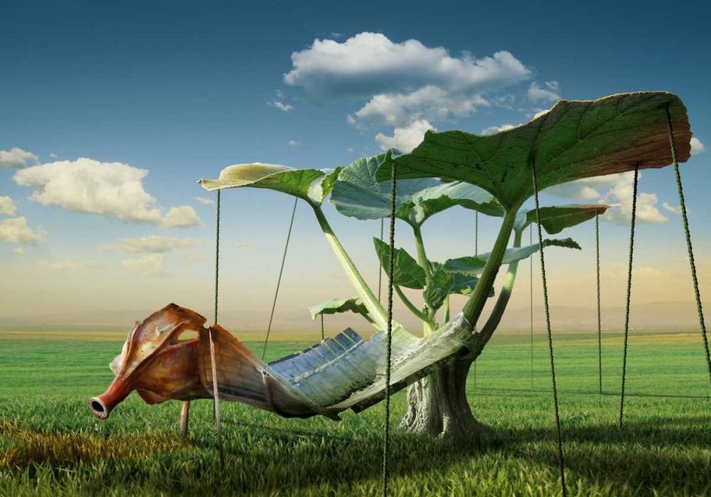 Wall art: ..., by Penchev, Radoslav