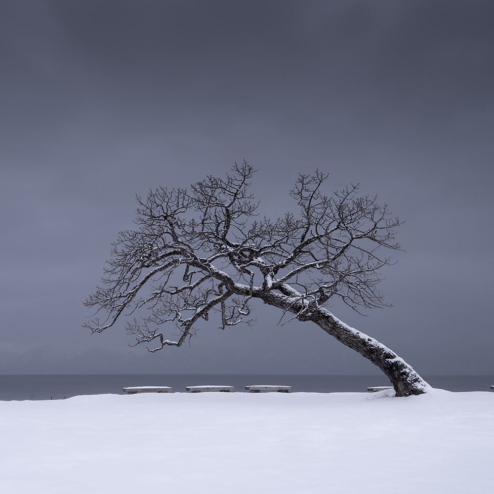 Art Print: Leaning In