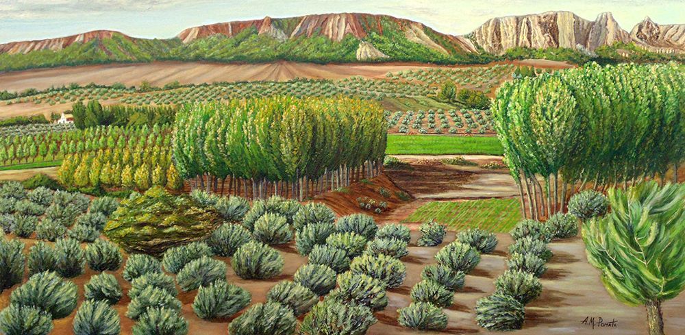 Wall art: Bright Morning In Alcudia, by Pomata, Angeles M.