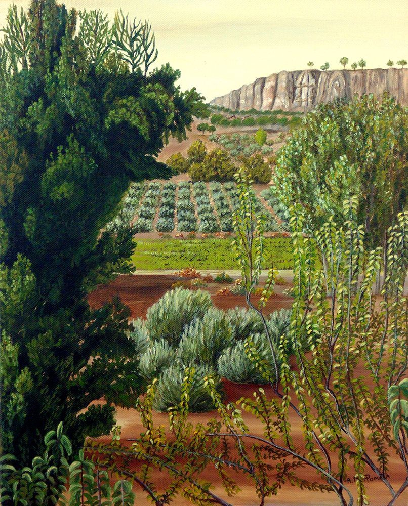 Wall art: High Mountain Olive Trees, by Pomata, Angeles M.