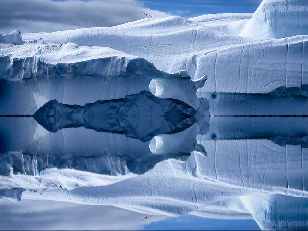 Art Print: I See A Future