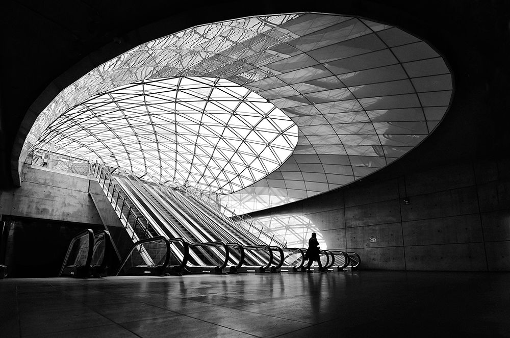 Art Print: The Cat That Lies Within