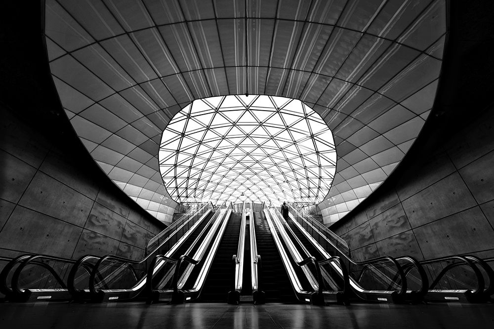 Art Print: Tempus Fugit