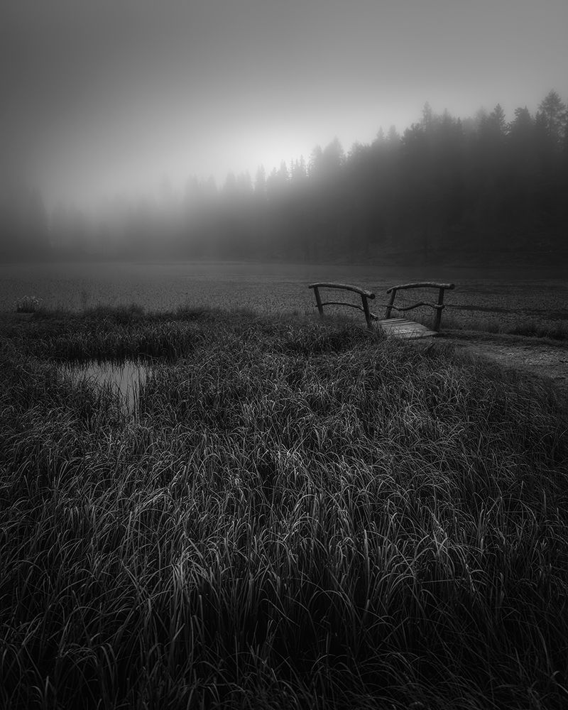 Art Print: Woven Into Sorrow