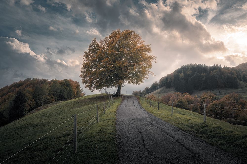 Art Print: Time After Time