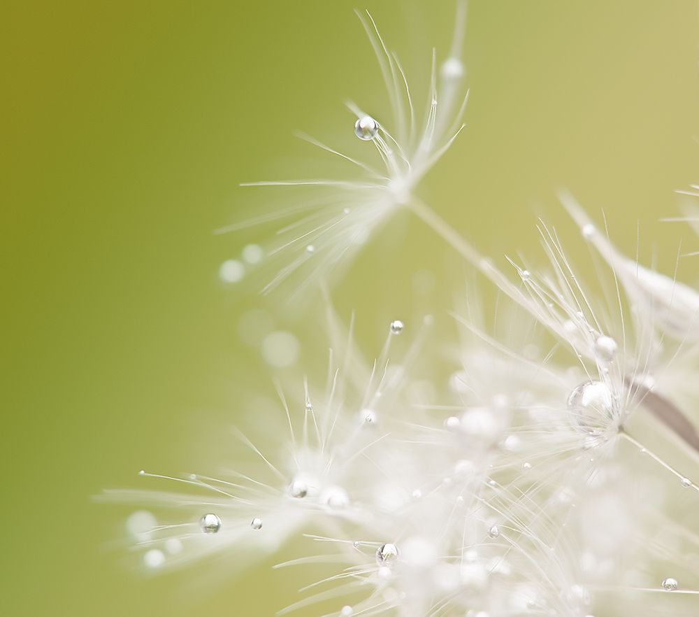 Similar wall art painting: 611103