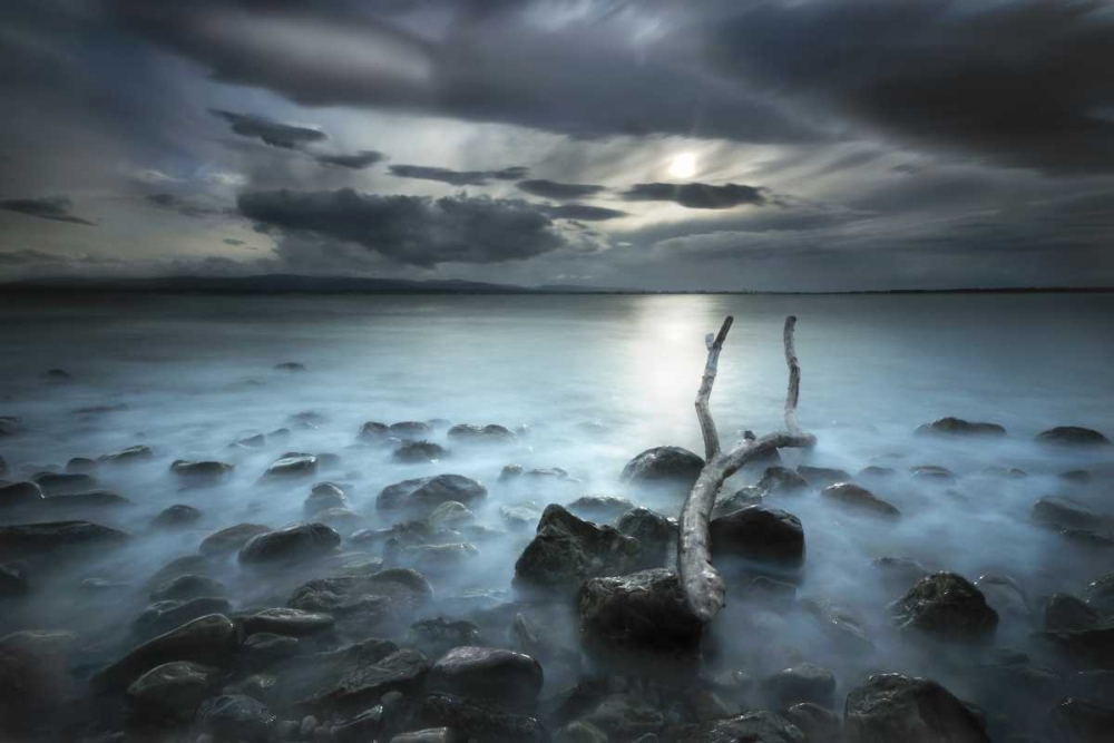 Similar wall art painting: 100440