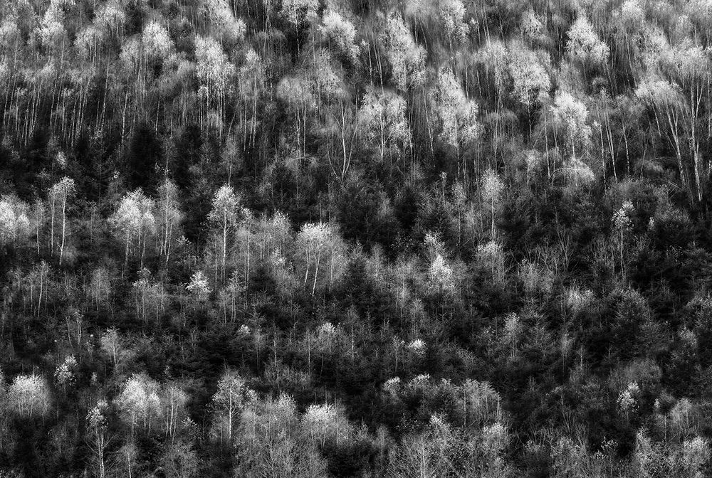 Similar wall art painting: 470954