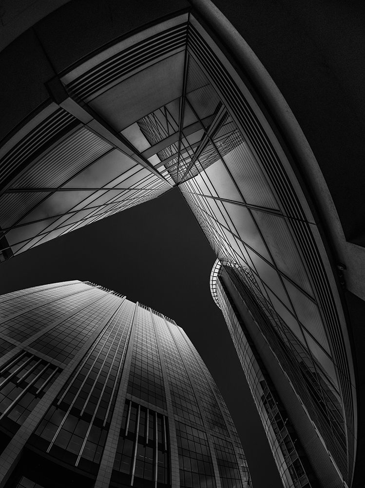 Art Print: Dizziness