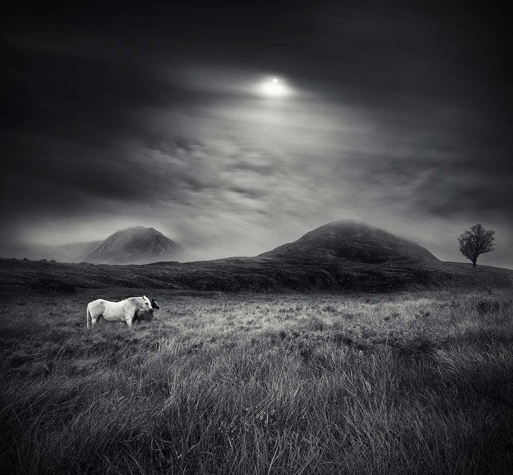 Art Print: Strange Place To Be