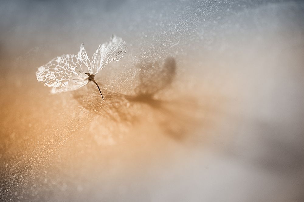 Similar wall art painting: 585531