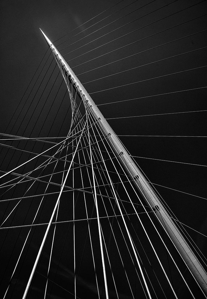 Art Print: Calatravas Citer Music Ii