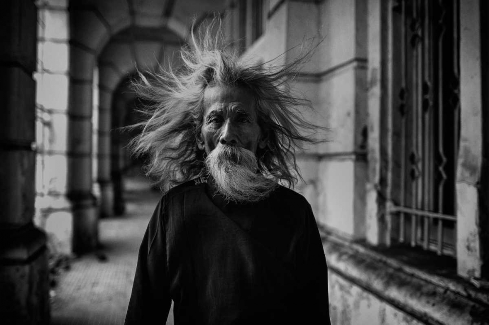 Art Print: That Summer The Wind Blows