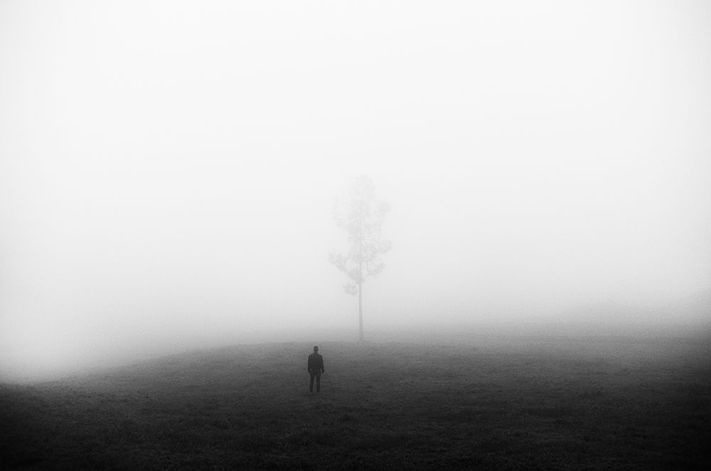 Art Print: Encounter