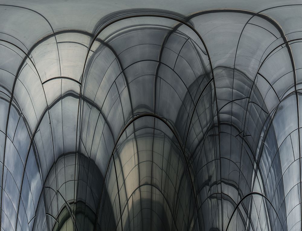 Art Print: Cobweb Cathedral