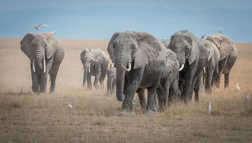 Art Print: Remember the Titans