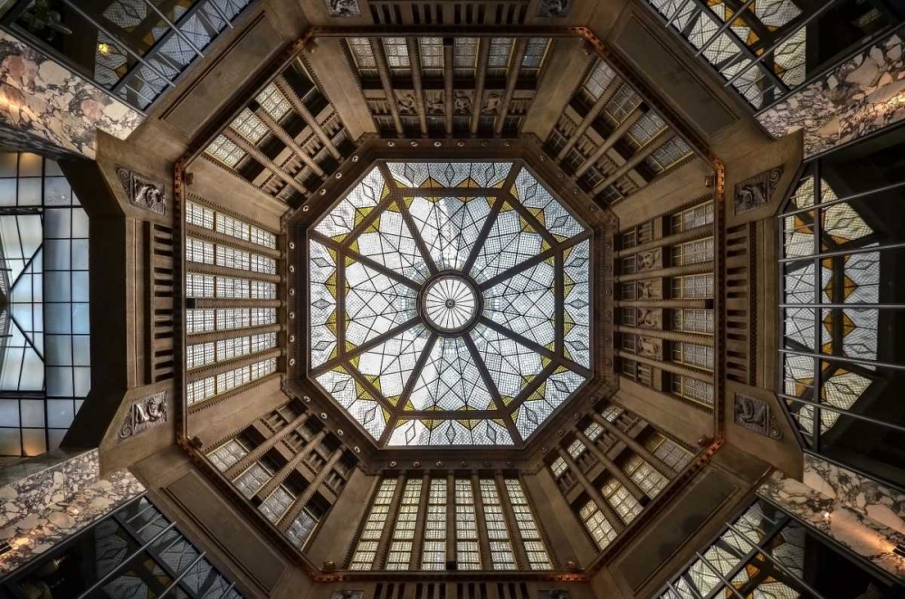 Art Print: Looking Up