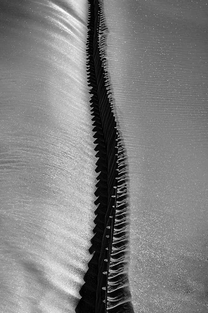 Similar wall art painting: 472519