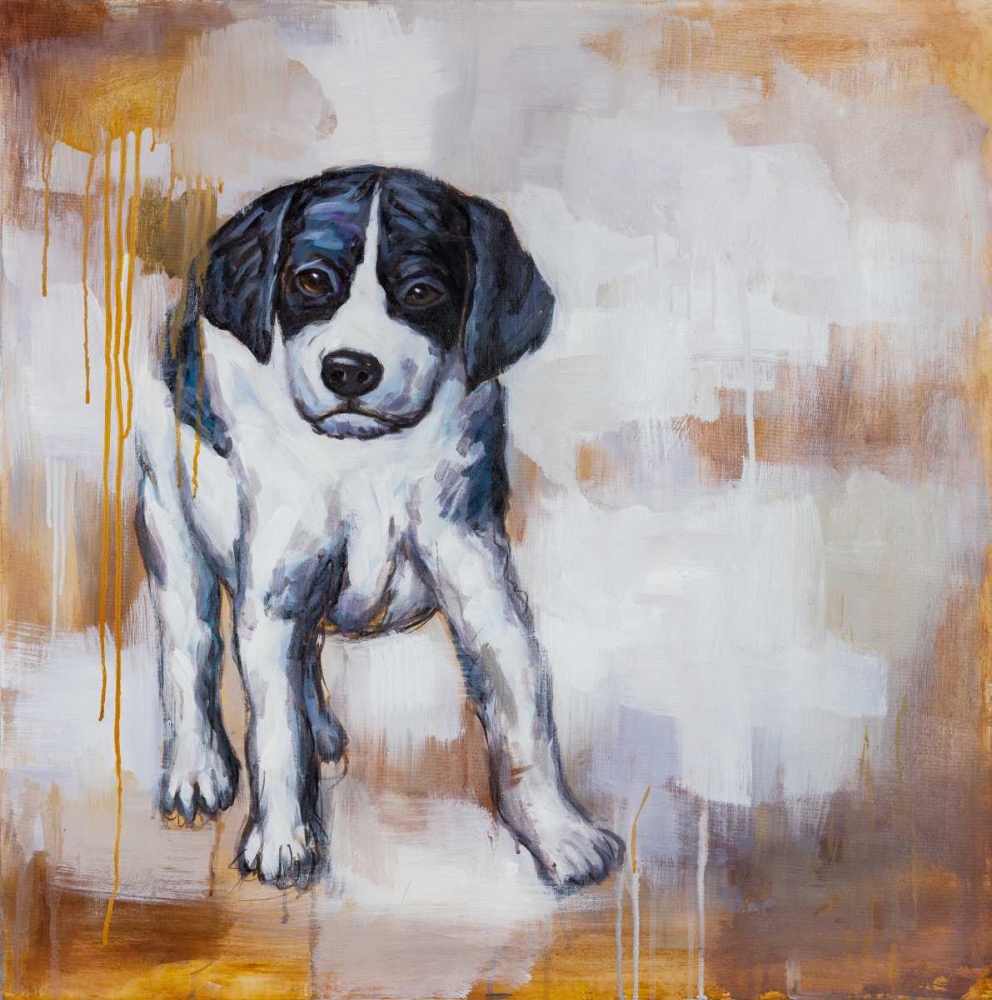 Wall Art Painting id:150812, Name: Curious Puppy Dog, Artist: Atelier B Art Studio