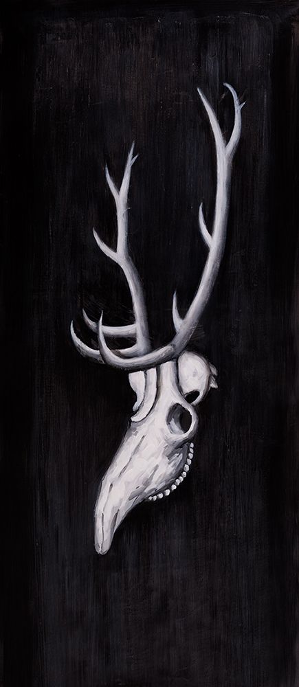 Wall Art Painting id:211865, Name: DEER SKULL IN THE DARK, Artist: Atelier B Art Studio