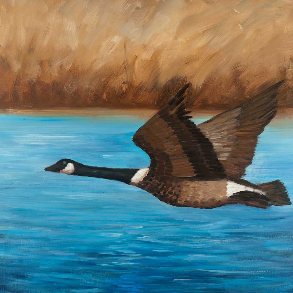 Wall Art Painting id:150822, Name: Flying Bustard, Artist: Atelier B Art Studio