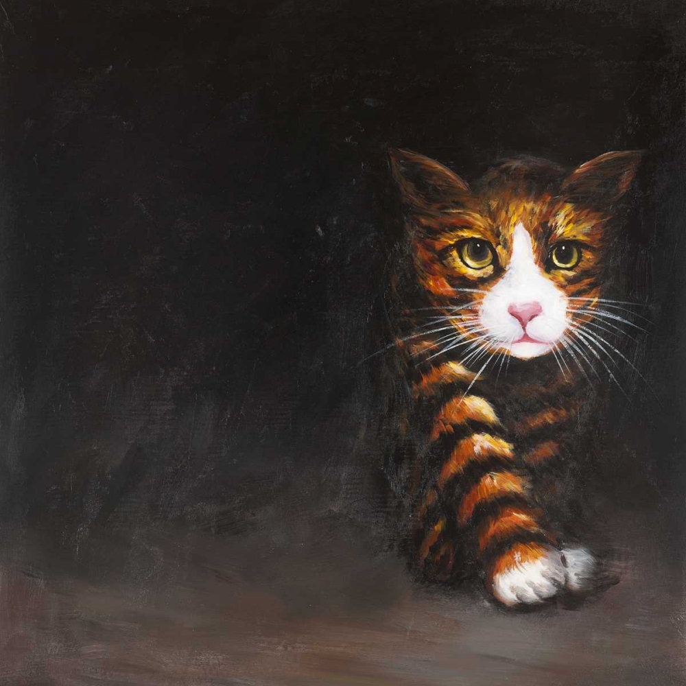 Wall Art Painting id:150824, Name: Discreet Cat, Artist: Atelier B Art Studio