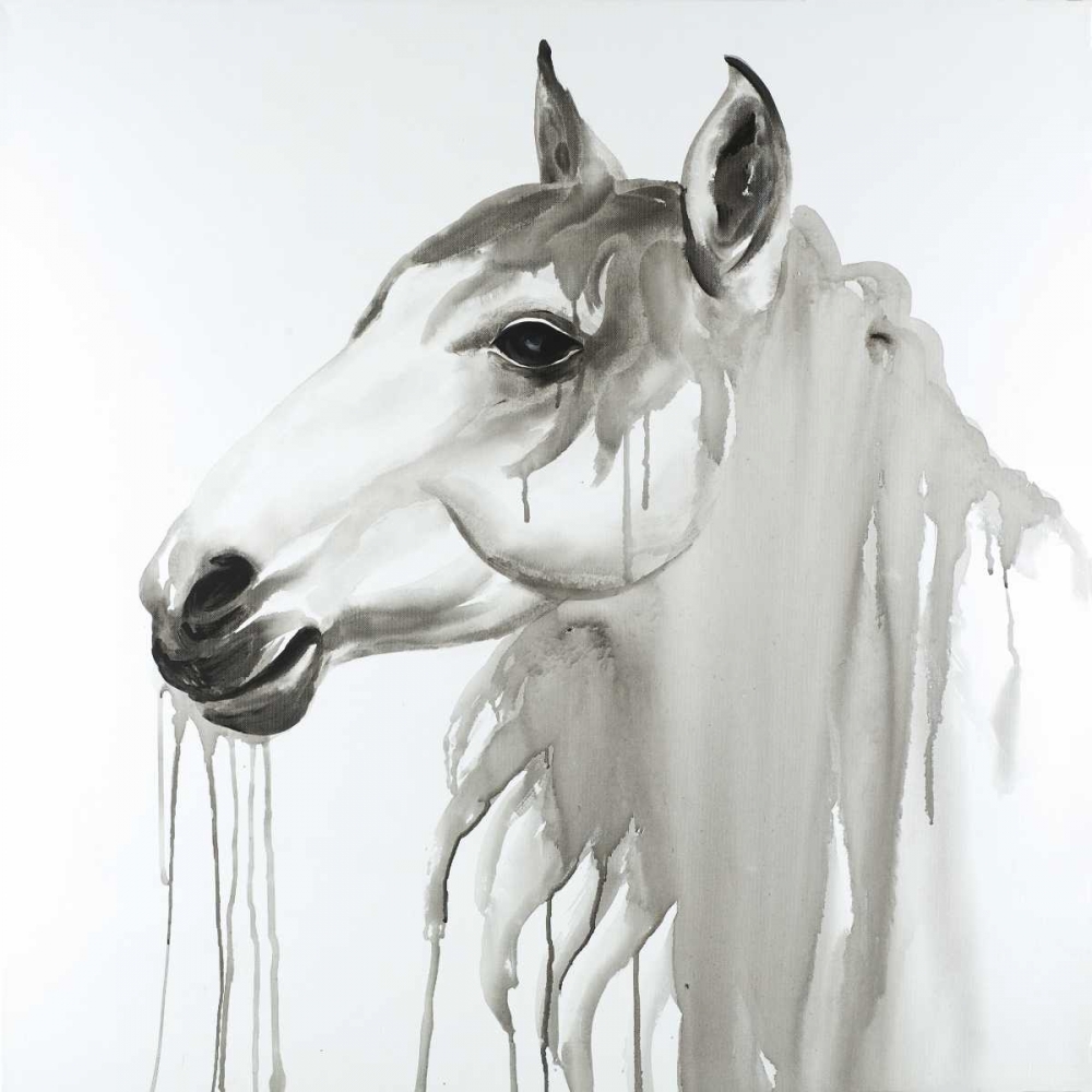 Art Print: Beautiful White Horse