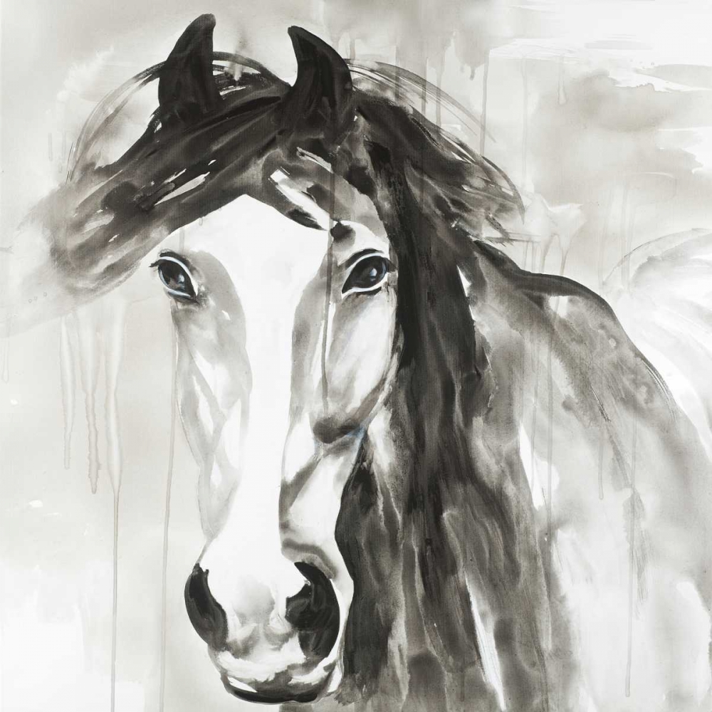 Art Print: Beautiful Wild Horse