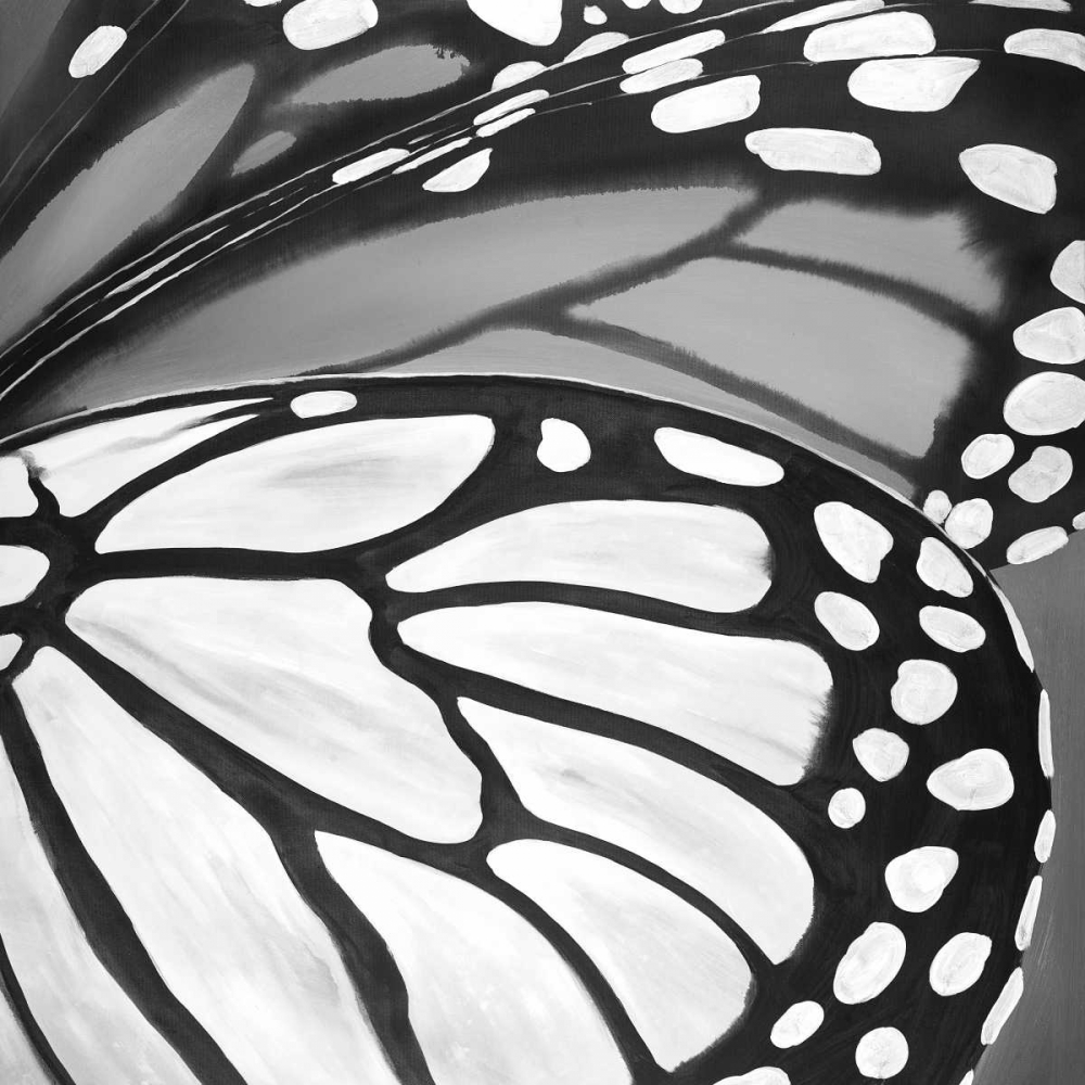 Wall art: Black and White Monarch, by Atelier B Art Studio