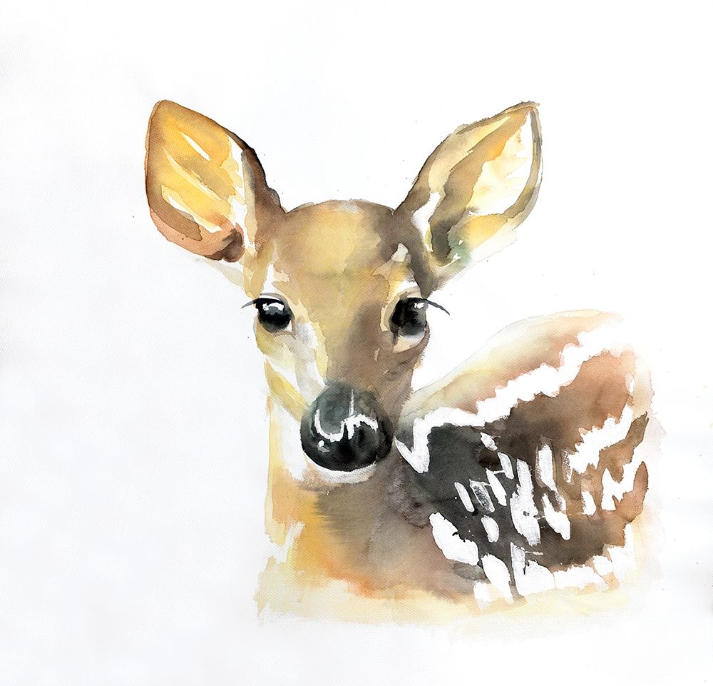 Wall Art Painting id:212114, Name: WATERCOLOR FAWN FACE, Artist: Atelier B Art Studio