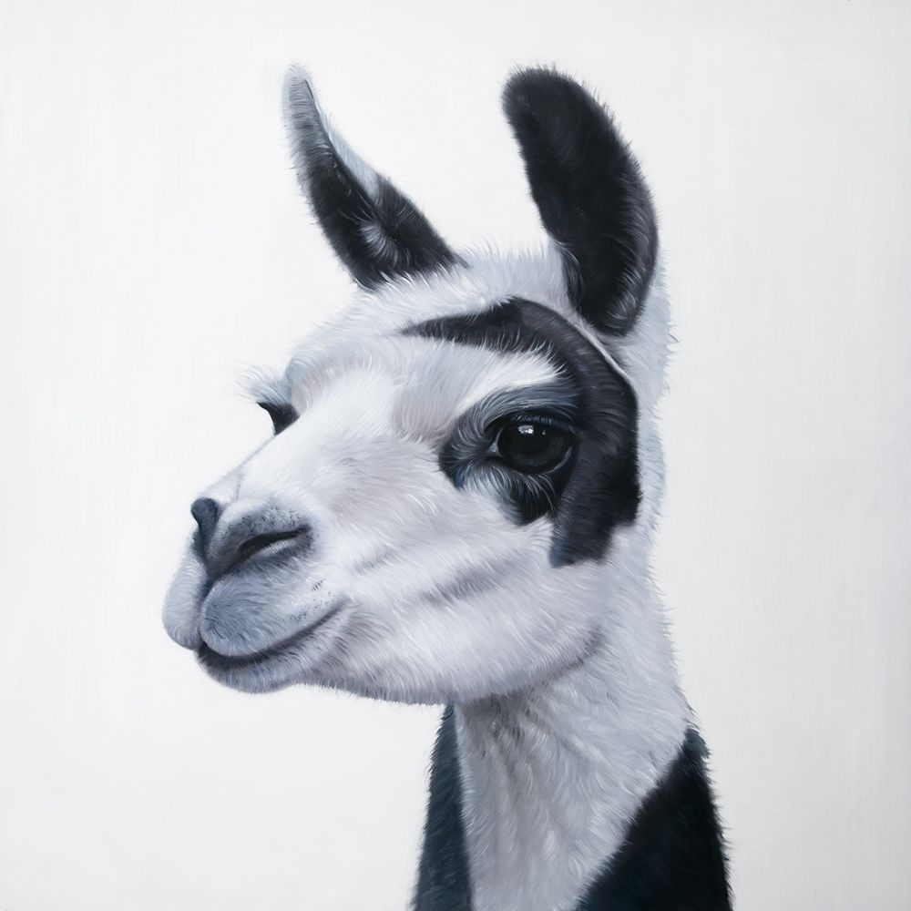 Art Print: BLACK and WHITE LAMA