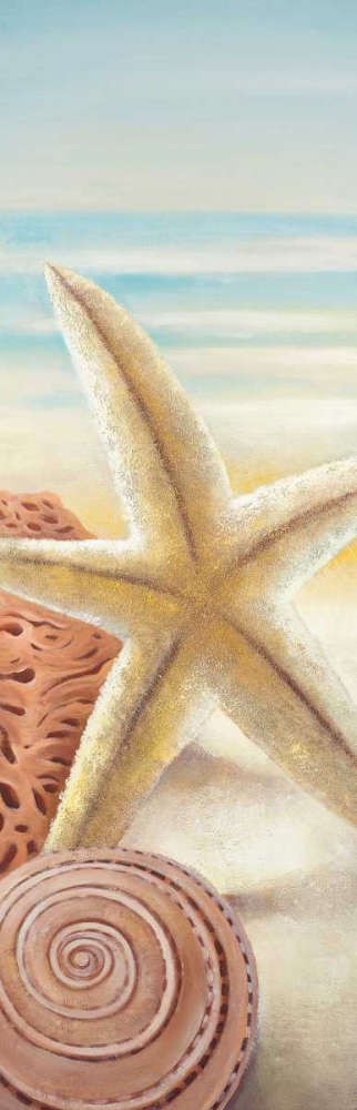 Wall Art Painting id:150933, Name: Starfish and Seashells at the Beach, Artist: Atelier B Art Studio