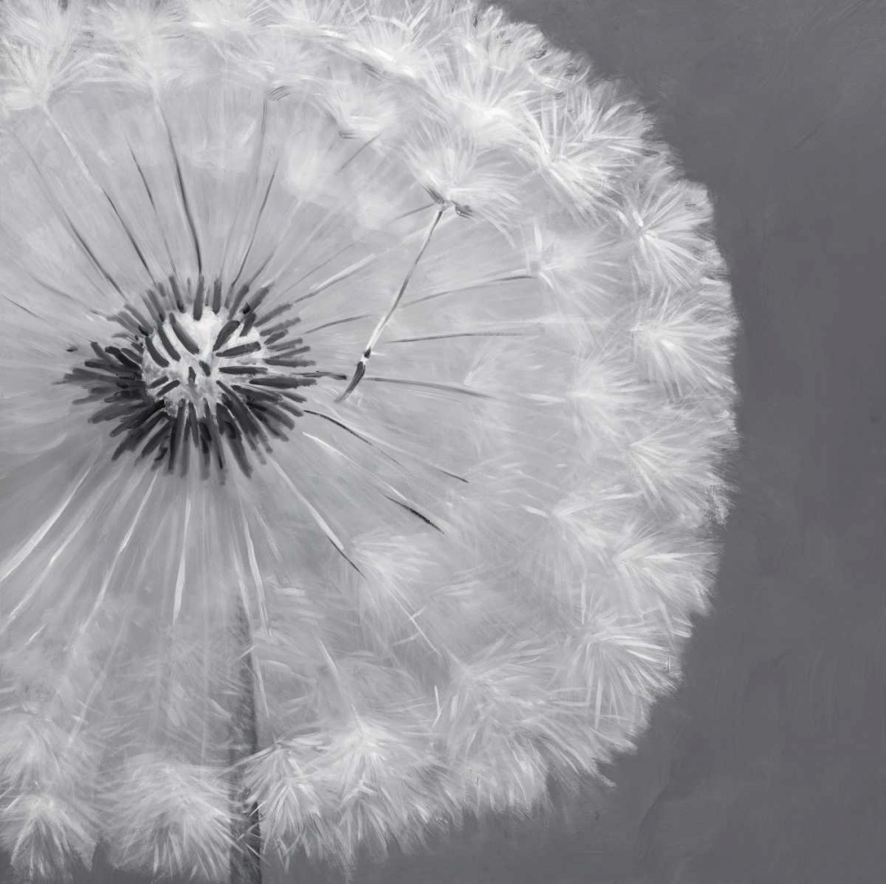 Wall Art Painting id:150985, Name: Dandelion Puff Ball, Artist: Atelier B Art Studio