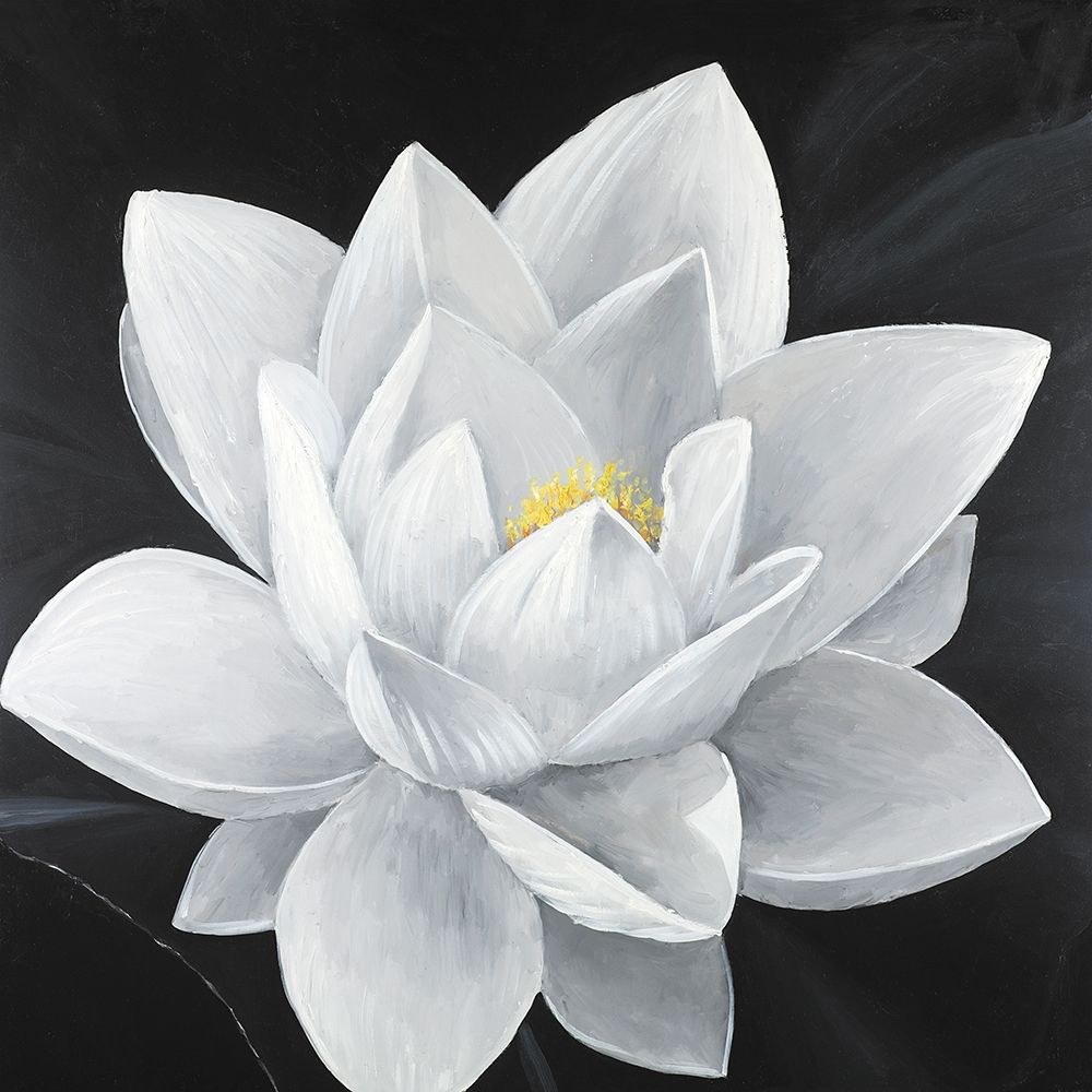 Art Print: Overhead View of a Lotus Flower