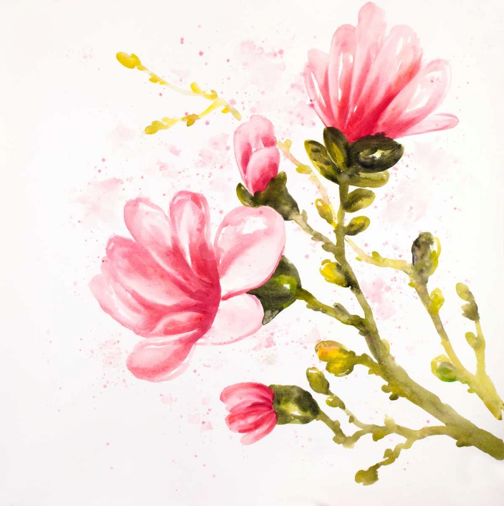 Wall Art Painting id:174797, Name: Watercolor Magnolia Flowers, Artist: Atelier B Art Studio