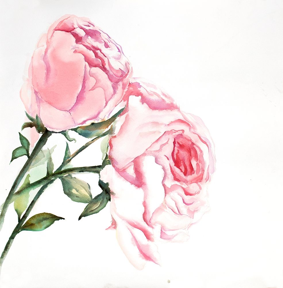 Wall Art Painting id:194059, Name: Watercolor Pink Roses, Artist: Atelier B Art Studio
