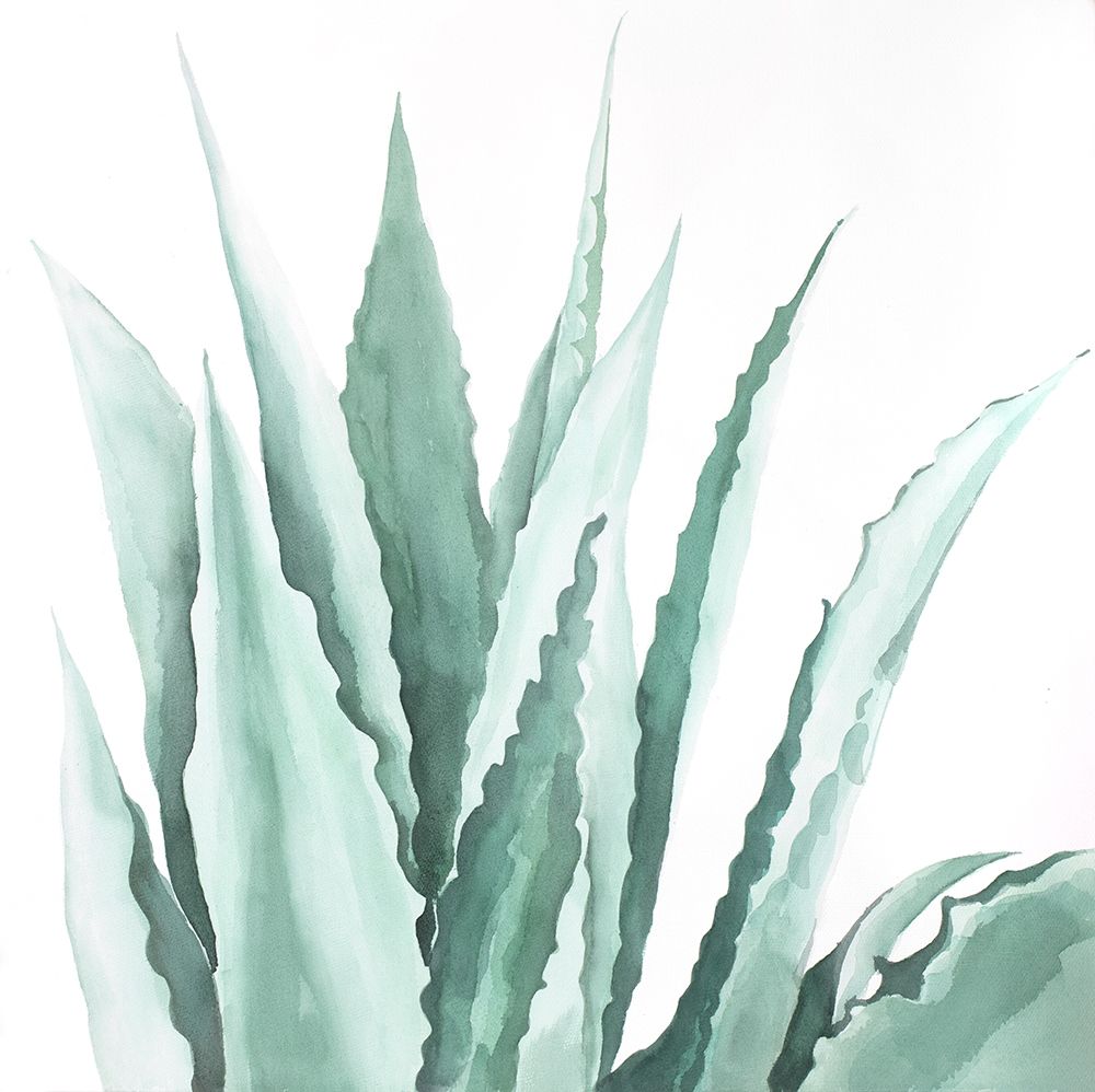 Wall Art Painting id:194068, Name: Watercolor Agave Plant, Artist: Atelier B Art Studio