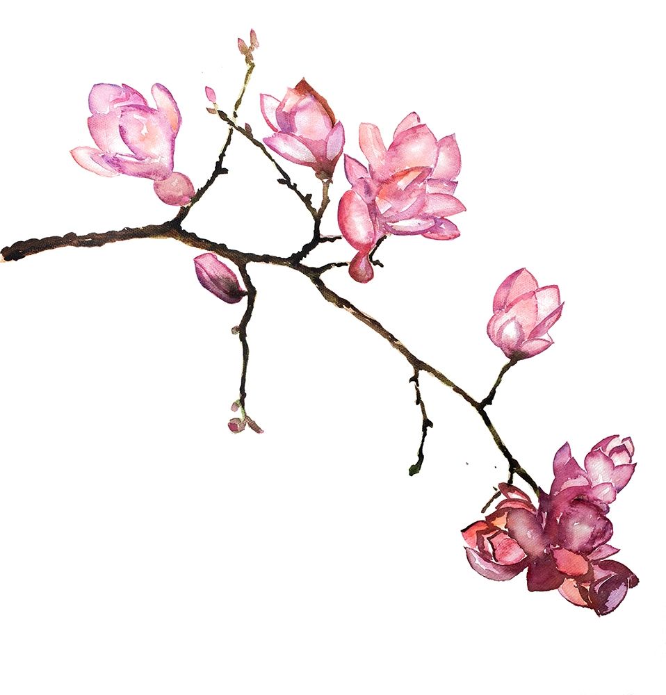 Wall art: BRANCH OF CHERRY BLOSSOMS, by Atelier B Art Studio