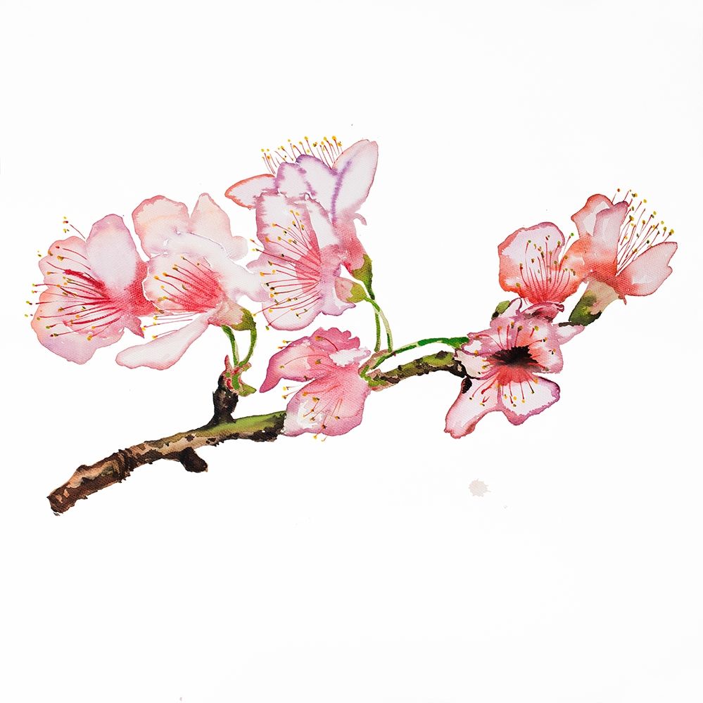 Wall Art Painting id:220752, Name: BRANCH OF CHERRY BLOSSOM, Artist: Atelier B Art Studio