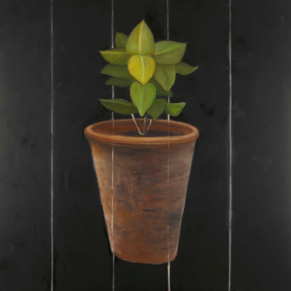 Wall Art Painting id:154166, Name: Plant of Bay Leaves, Artist: Atelier B Art Studio
