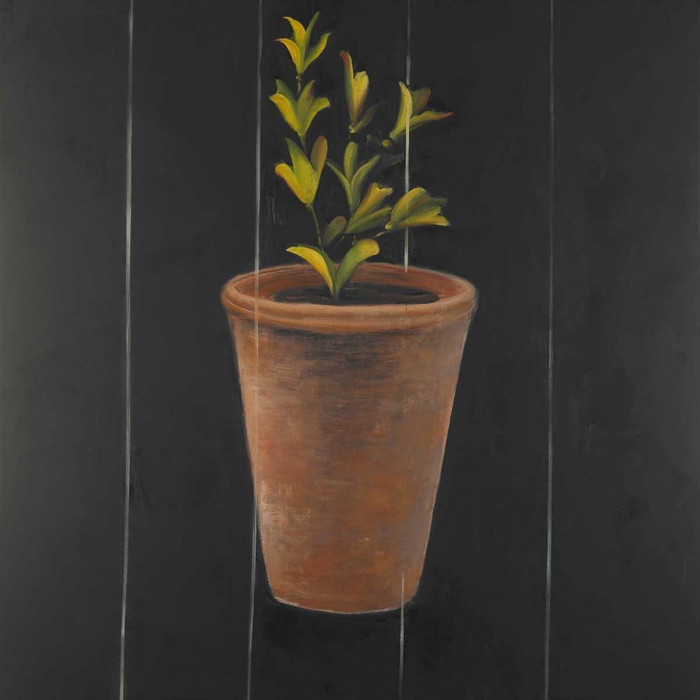 Wall Art Painting id:154167, Name: Plant of Marjolaine, Artist: Atelier B Art Studio