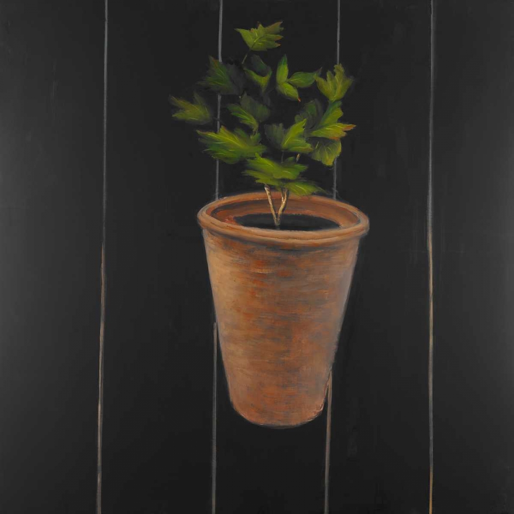 Wall Art Painting id:154168, Name: Plant of Parsley, Artist: Atelier B Art Studio