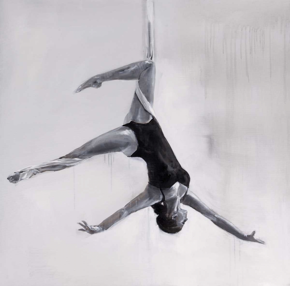 Wall Art Painting id:151031, Name: Woman Dancer on Aerial Silks, Artist: Atelier B Art Studio