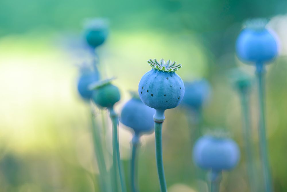 Similar wall art painting: 674141